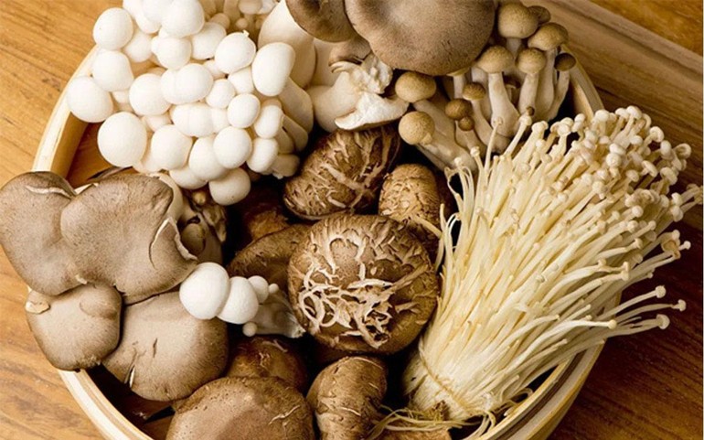 Nấm - Superfood Từ Thiên Nhiên: Những Lợi Ích Không Thể Bỏ Qua